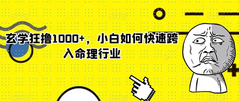 玄学狂撸1000+，小白如何快速跨入命理行业-chywc