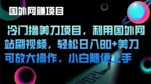 冷门撸美刀项目，利用国外网站刷视频，轻松日入80+美刀，可放大操作，小白随便上手-chywc