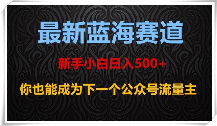 最新蓝海赛道，新手小白日入500+，你也能成为下一个公众号流量主【揭秘】-chywc