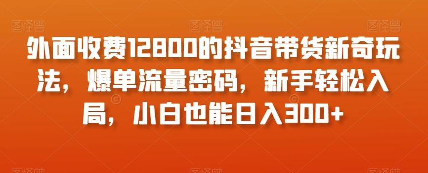 外面收费12800的抖音带货新奇玩法，爆单流量密码，新手轻松入局，小白也能日入300+【揭秘】-chywc
