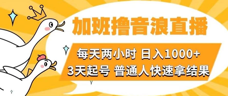 加班撸音浪直播，每天两小时，日入1000+，直播话术才3句，3天起号，普通人快速拿结果【揭秘】-chywc