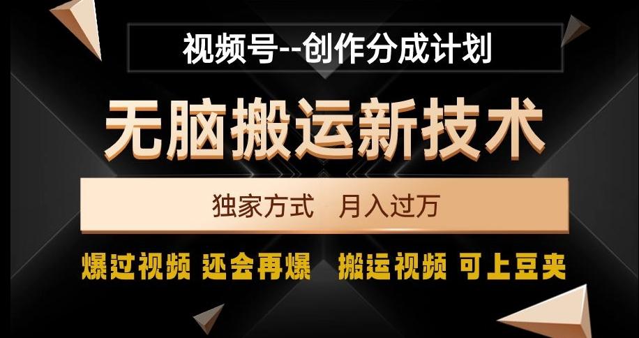 视频号无脑搬运新技术，破原创壕流量，独家方式，爆过视频，还会再爆【揭秘】-chywc