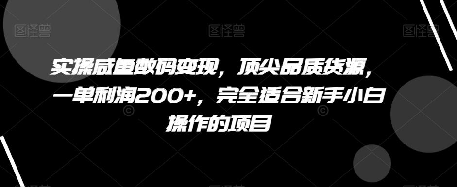 实操咸鱼数码变现，顶尖品质货源，一单利润200+，完全适合新手小白操作的项目【揭秘】-chywc