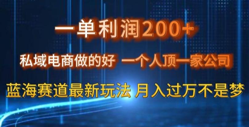 一单利润200私域电商做的好，一个人顶一家公司蓝海赛道最新玩法【揭秘】-chywc