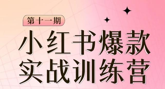 小红书博主爆款训练营第11期，手把手教你从0-1做小红书，从定位到起号到变现-chywc