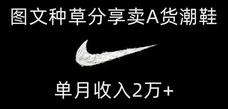 靠图文种草分享卖A货潮鞋，每天一小时，单月收入2万+【揭秘】-chywc