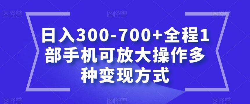 日入300-700+全程1部手机可放大操作多种变现方式【揭秘】-chywc