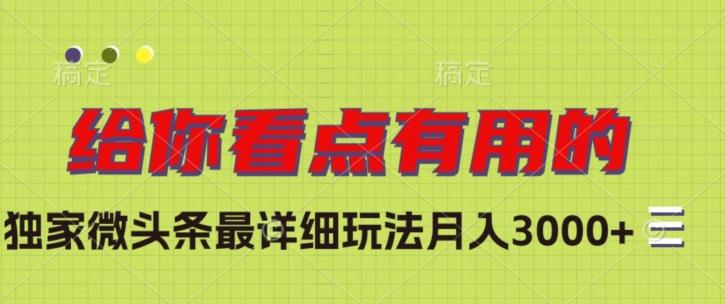 独家微头条最详细玩法，月入3000+【揭秘】-chywc