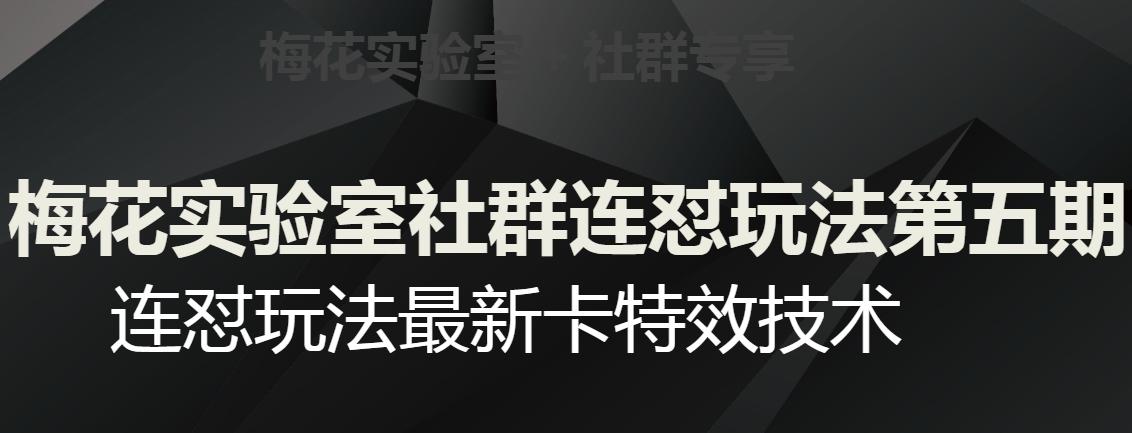 梅花实验室社群连怼玩法第五期，视频号连怼玩法最新卡特效技术-chywc