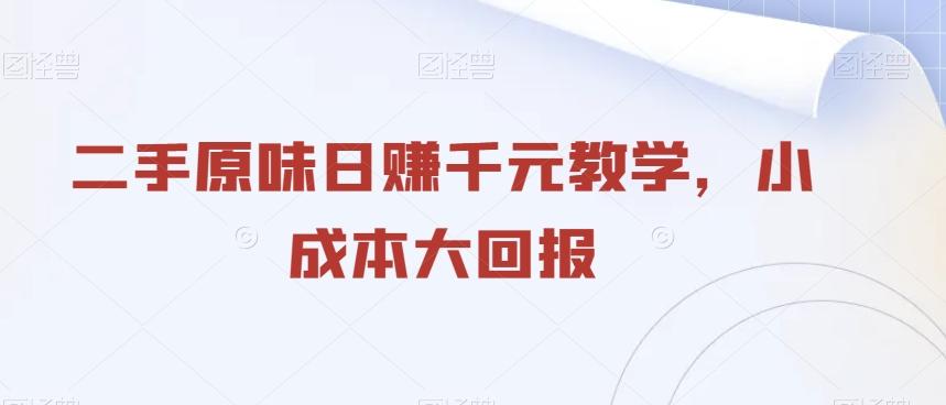二手原味日赚千元教学，小成本大回报-chywc