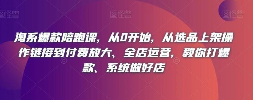 淘系爆款陪跑课，从0开始，从选品上架操作链接到付费放大、全店运营，教你打爆款、系统做好店-chywc