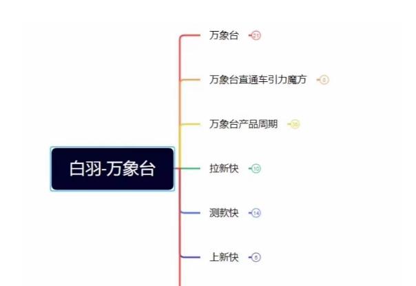 白羽·直引万搜索全篇，从0-1，多个类目实操经验总结付费-chywc