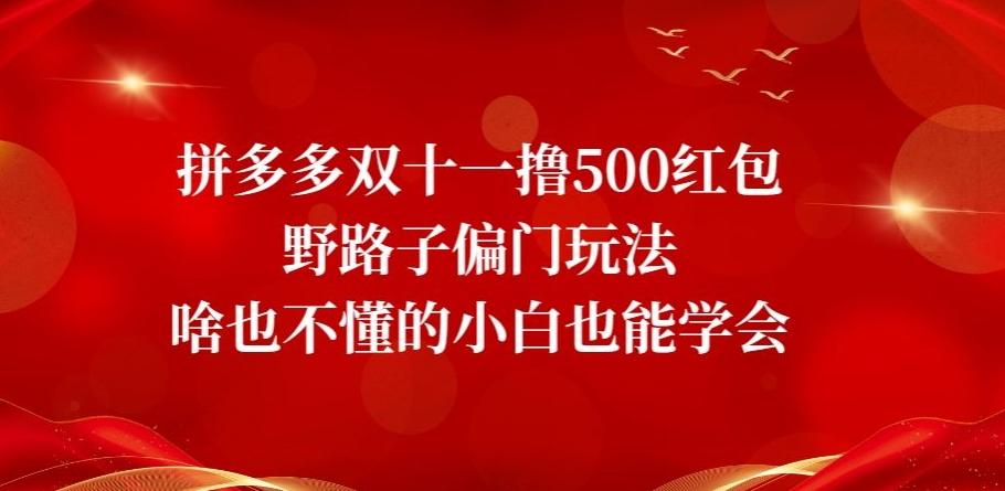 拼多多双十一撸500红包野路子偏门玩法，啥也不懂的小白也能学会【揭秘】-chywc
