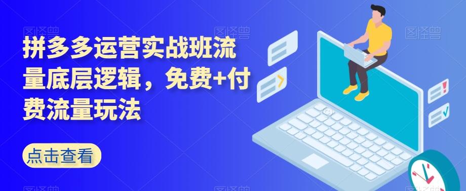 拼多多运营实战班流量底层逻辑，免费+付费流量玩法-chywc