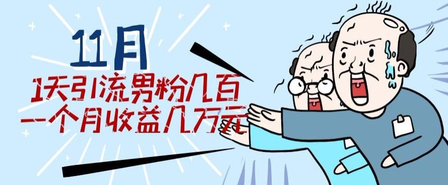 11月最新每天引流男粉300+一个月收益几万元-chywc