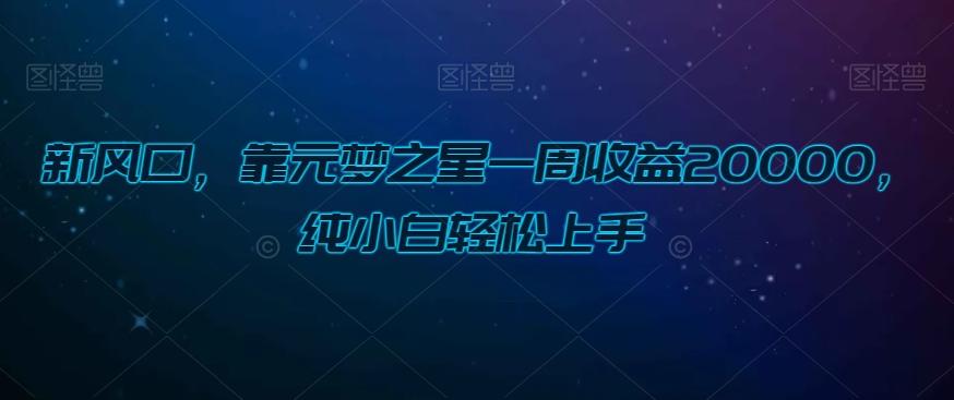 新风口，靠元梦之星一周收益20000，纯小白轻松上手-chywc