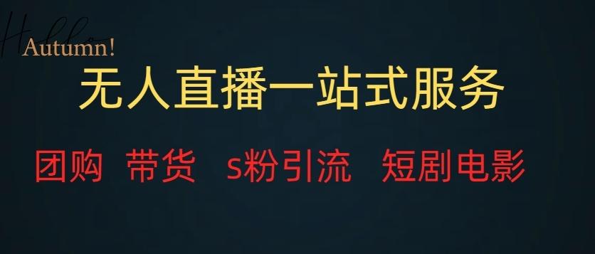 无人直播一站式服务（教程以及变现方式）-chywc
