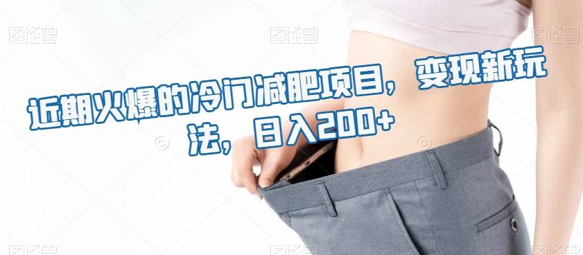 近期火爆的冷门减肥项目，变现新玩法，日入200+-chywc