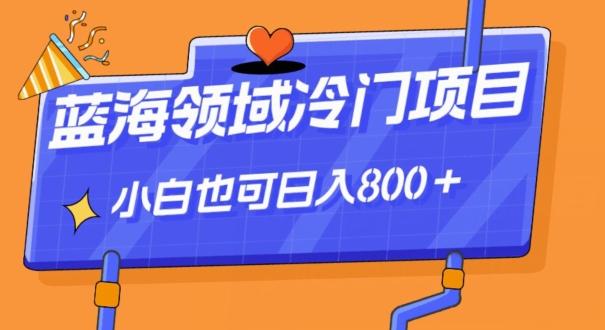 蓝海领域冷门赛道，一单39.9，日入800＋-chywc