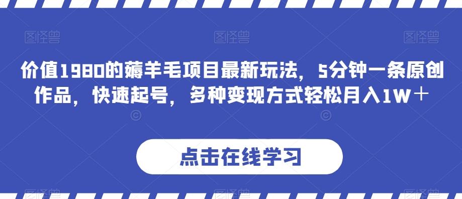 价值1980的薅羊毛项目最新玩法，5分钟一条原创作品，快速起号，多种变现方式轻松月入1W＋【揭秘】-chywc