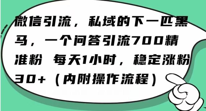 怎么搞精准创业粉？微信新赛道，每天一小时，利用Ai一个问答日引100精准粉-chywc