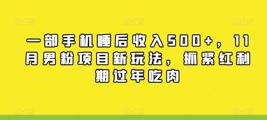 一部手机睡后收入500+，11月男粉项目新玩法，抓紧红利期过年吃肉-chywc