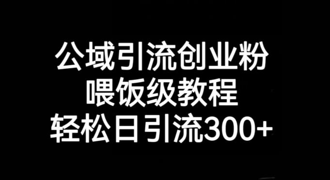 公域引流创业粉，喂饭级教程，轻松日引流300+【揭秘】-chywc