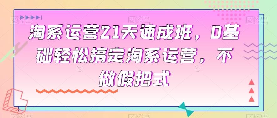 淘系运营21天速成班，0基础轻松搞定淘系运营，不做假把式-chywc