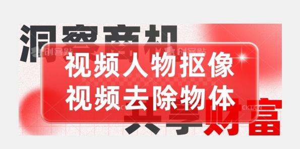 【超强视频处理工具】视频人物抠像+视频去除物体-chywc