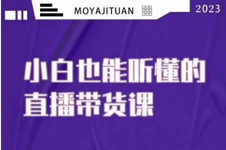 大威本威·能听懂的直播带货课，小白也能听懂，20节完整-chywc