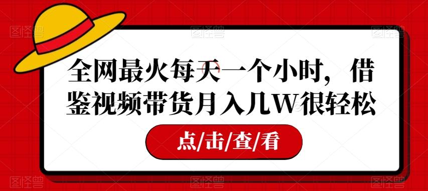 全网最火每天一个小时，借鉴视频带货月入几W很轻松【揭秘】-chywc