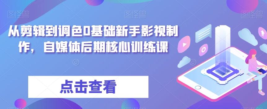 从剪辑到调色0基础新手影视制作，自媒体后期核心训练课-chywc