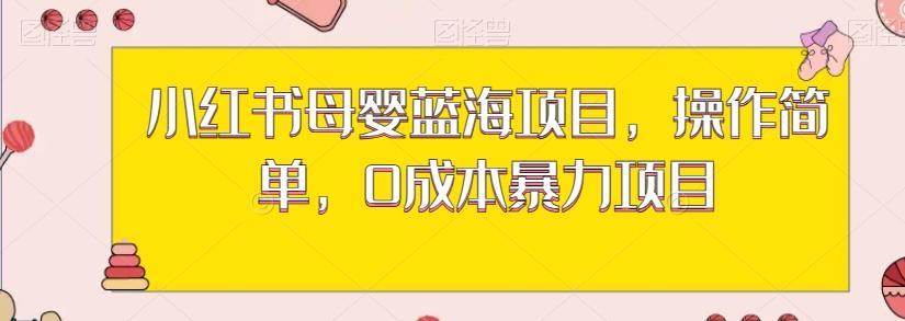 小红书母婴蓝海项目，操作简单，0成本暴力项目-chywc