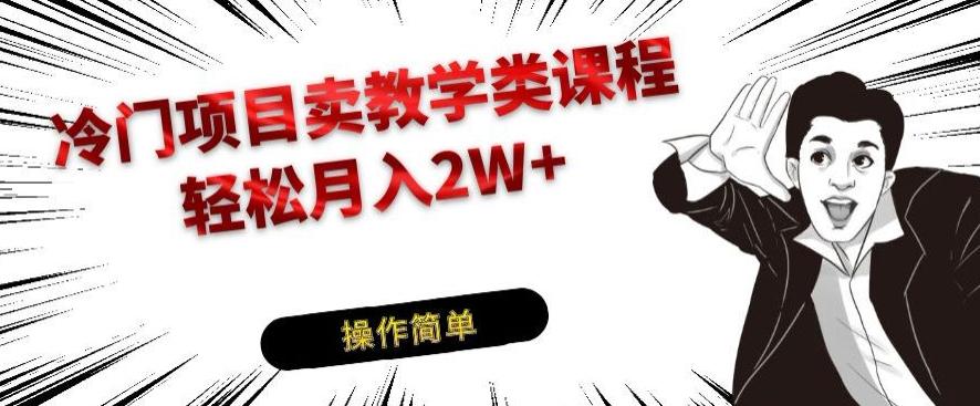 冷门项目卖教学类课程，轻松月入2W+-chywc