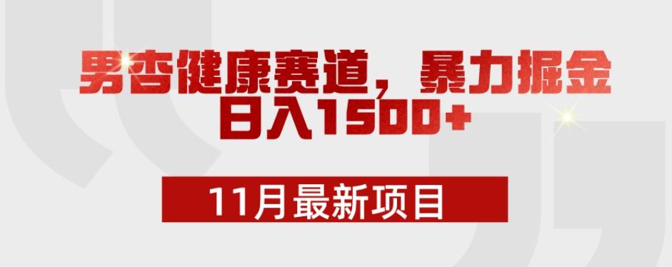 11月最新项目，男杏健康赛道，暴力掘金，日入1500+-chywc
