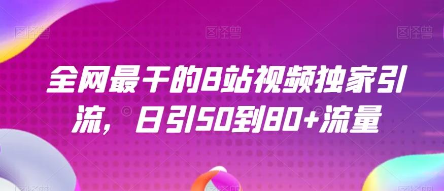 全网最干的B站视频独家引流，日引50到80+流量【揭秘】-chywc