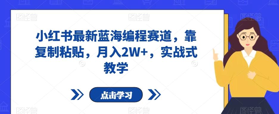 小红书最新蓝海编程赛道，靠复制粘贴，月入2W+，实战式教学【揭秘】-chywc