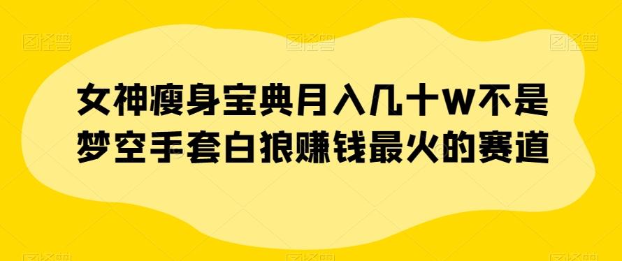 女神瘦身宝典月入几十W不是梦空手套白狼赚钱最火的赛道【揭秘】-chywc