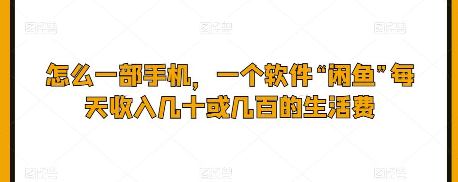 怎么一部手机，一个软件“闲鱼”每天收入几十或几百的生活费-chywc