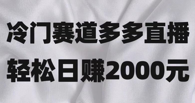冷门赛道拼多多直播，简单念稿子，日收益2000＋【揭秘】-chywc