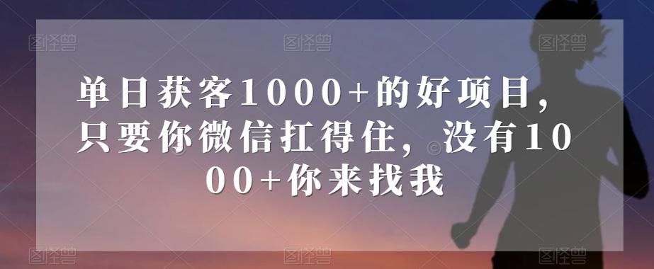 单日获客1000+的好项目，只要你微信扛得住，没有1000+你来找我【揭秘】-chywc