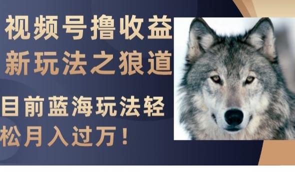 视频号撸收益新玩法之狼道，目前蓝海玩法，轻松月入过万【揭秘】-chywc