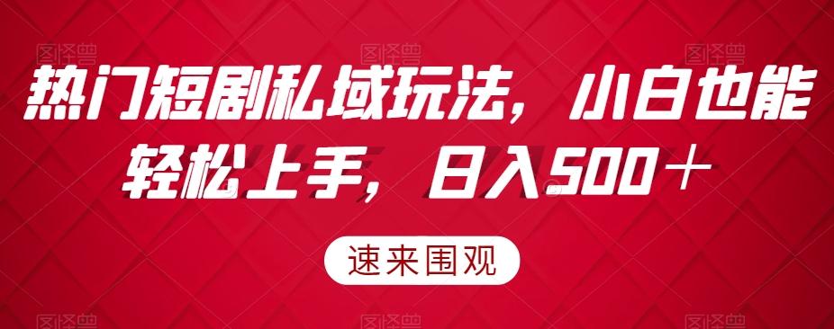 热门短剧私域玩法，小白也能轻松上手，日入500＋-chywc