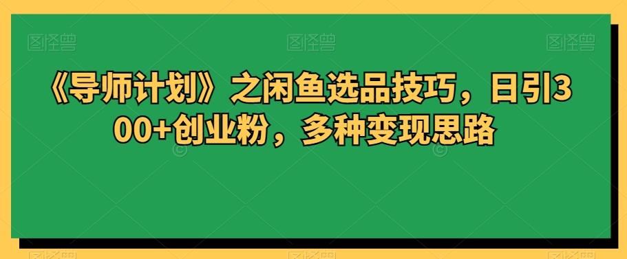 《导师计划》之闲鱼选品技巧，日引300+创业粉，多种变现思路-chywc
