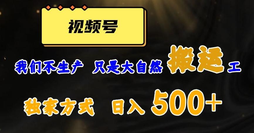 视频号轻松搬运日赚500+，一个1分钟1条原创视频【揭秘】-chywc