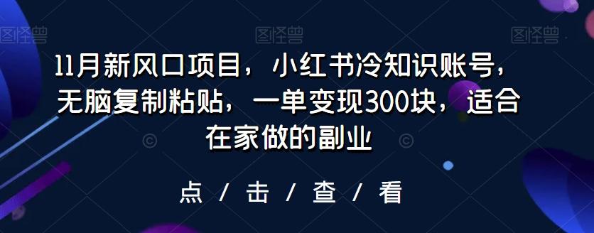 11月新风口项目，小红书冷知识账号，无脑复制粘贴，一单变现300块，适合在家做的副业-chywc