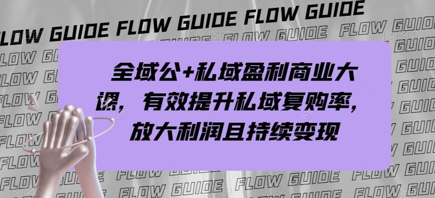 全域公+私域盈利商业大课，有效提升私域复购率，放大利润且持续变现-chywc