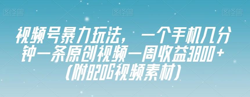 视频号暴力玩法，一个手机几分钟一条原创视频一周收益3800+（附820G视频素材）-chywc