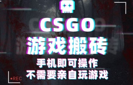 CSGO游戏挂G捡漏，单日扫货5张+，年底小高峰上车可吃肉，手机即可操作，兼职副业创业网创【揭秘】-chywc