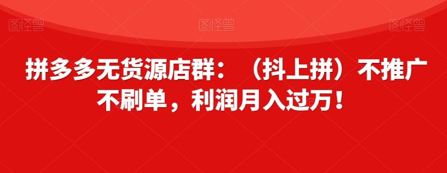 拼多多无货源店群：（抖上拼）不推广不刷单，利润月入过万！【揭秘】-chywc